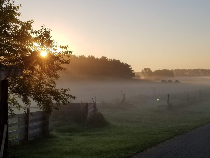 Sunrise over a misty rural landscape, with soft sunlight filtering through trees and illuminating a fog-covered field. Fenced pastures and hay bales are visible in the background, creating a serene countryside scene.