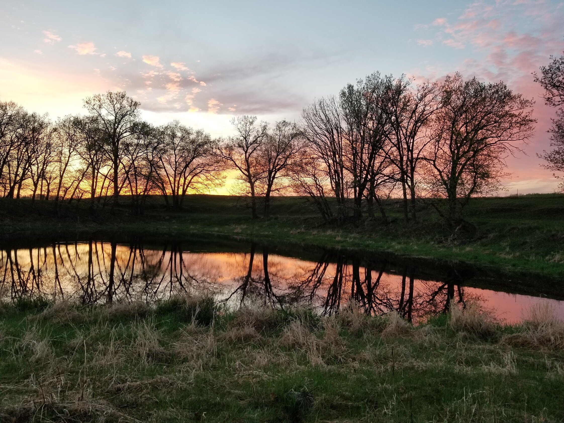 Scenic sunset over a tranquil pond surrounded by trees, reflecting vibrant colors in the water and showcasing a peaceful natural landscape.