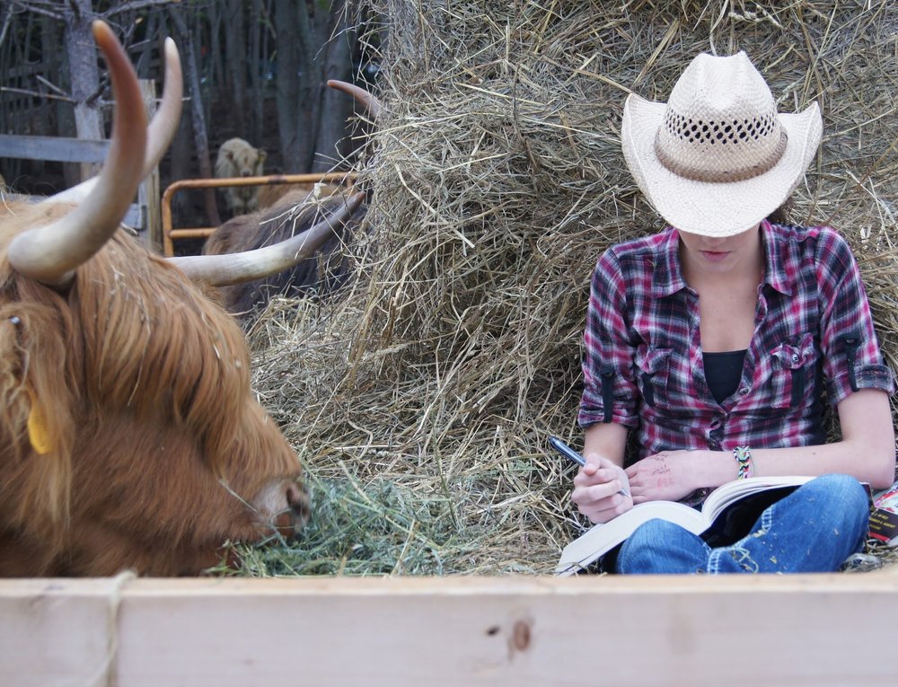 Young woman in a cowboy hat sitting on hay, writing in a notebook, with a Highland cow nearby, capturing a serene farm setting.