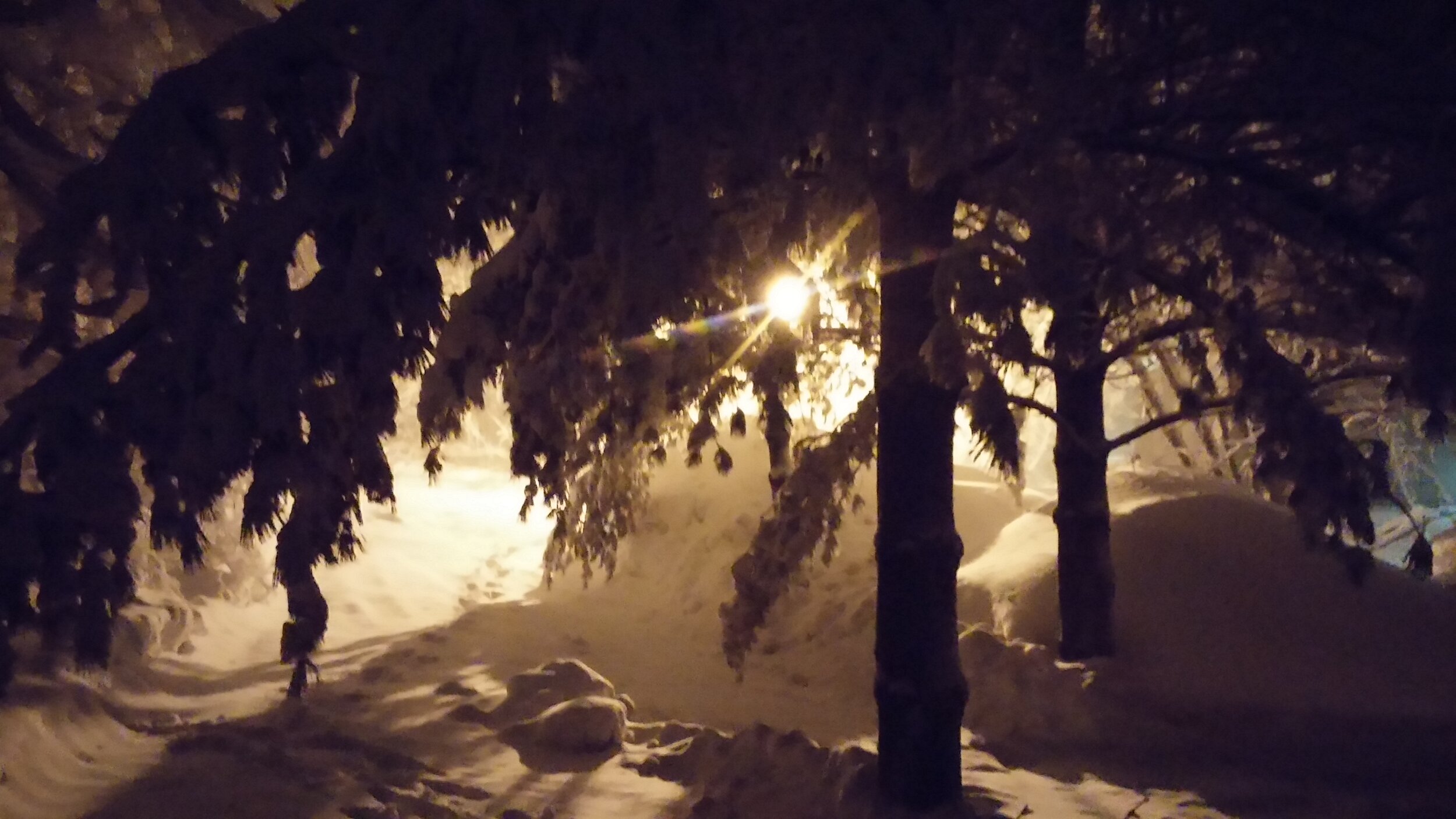 Winter+chicken+yard+d+2014 (1) Snow-covered pathway illuminated by a distant streetlight, surrounded by frosty trees in a serene winter night scene.
